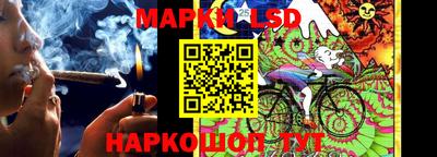 стафф Новодвинск