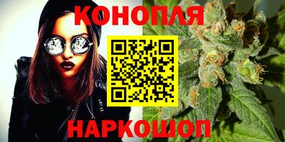 стафф Новодвинск