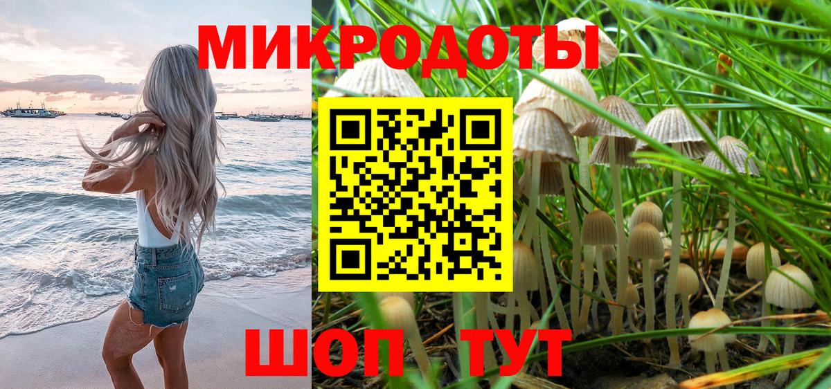 Галлюциногенные грибы GOLDEN TEACHER  Галлюциногенные грибы Psilocybine cubensis  Вход с VPN  Рязань 